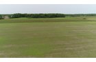 Van Buren County, Michigan farmland - LAND AUCTION - 194+/- ACRES OFFERED IN 5 TRACTS IN VAN BUREN COUNTY, MICHIGAN